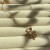IMG_6483.jpeg