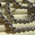 IMG_6579.jpeg