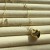 IMG_7355.jpeg
