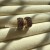 IMG_7819.jpeg