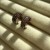IMG_7845.jpeg