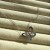 IMG_0905.jpeg