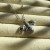 IMG_0923.jpeg