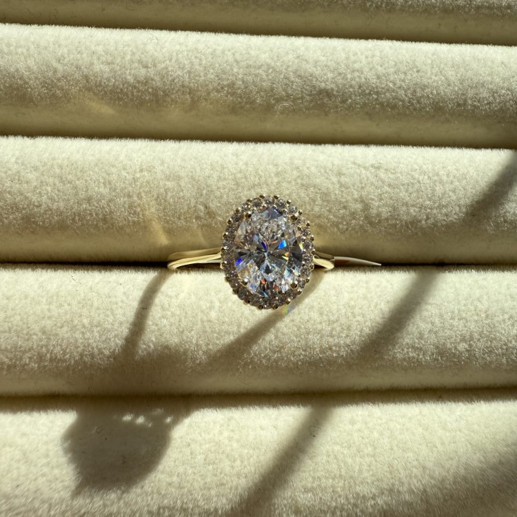 IMG_1487.jpeg
