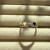 IMG_1483.jpeg
