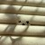 IMG_1480.jpeg