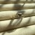 IMG_1477.jpeg