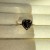 IMG_1462.jpeg