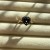 IMG_1456.jpeg