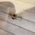 IMG_1649.jpeg