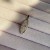 IMG_1630.jpeg