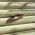 IMG_3983.jpeg