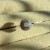IMG_4237.jpeg