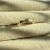 IMG_4349.jpeg