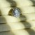 IMG_5038.jpeg