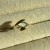 IMG_4367.jpeg