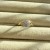 IMG_4392.jpeg