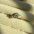 IMG_4372.jpeg