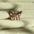 IMG_5229.jpeg