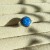 IMG_5348.jpeg