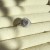 IMG_5355.jpeg
