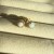 IMG_6008.jpeg