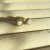 IMG_6005.jpeg
