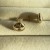 IMG_6053.jpeg