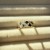 IMG_6843.jpeg