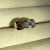 IMG_6875.jpeg