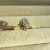 IMG_6901.jpeg