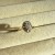 IMG_6904.jpeg