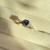 IMG_6917.jpeg