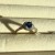 IMG_6914.jpeg
