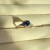 IMG_6915.jpeg