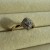 IMG_7339.jpeg