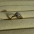 IMG_7342.jpeg