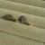 IMG_7346.jpeg