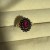 IMG_7511.jpeg
