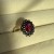 IMG_7512.jpeg