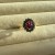 IMG_7523.jpeg