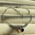 IMG_0453.jpeg