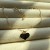 IMG_6398.jpeg