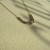 IMG_1383.jpeg