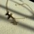 IMG_3084.jpeg